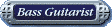 Bass Guitarist